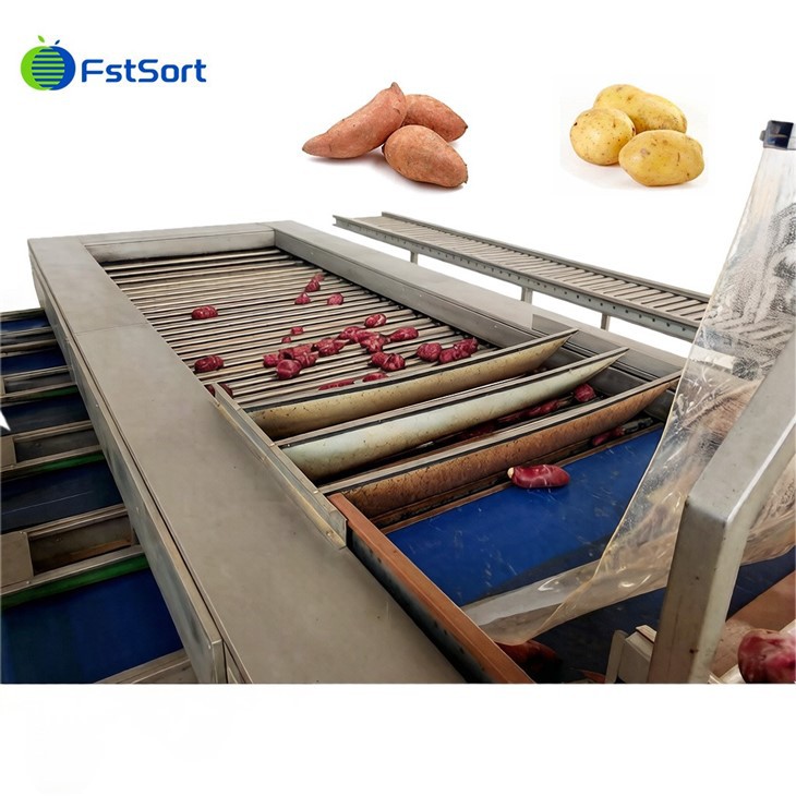 Advanced nga Sweet Potato Washing Roller Sorting Machine