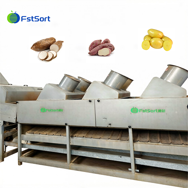 Advanced Sweet Potato Washing Roller Sorting Machine high quality