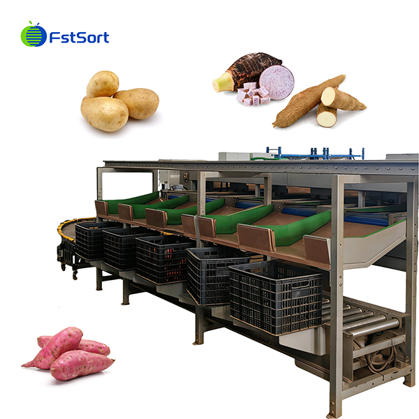 Advanced Sweet Potato Washing Roller Sorting Machine factory